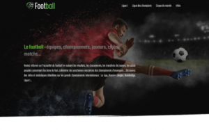 https://www.foot-ball.info